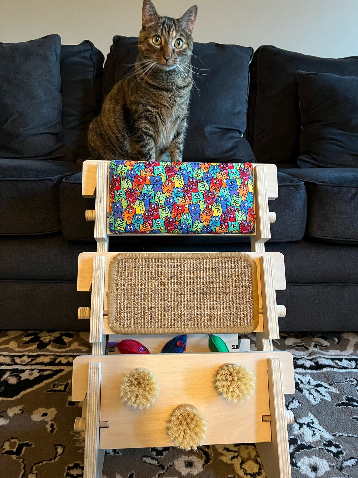 ScratchLadder: Colorful Cats Catnip Cushion, Sisal Carpet, Grooming