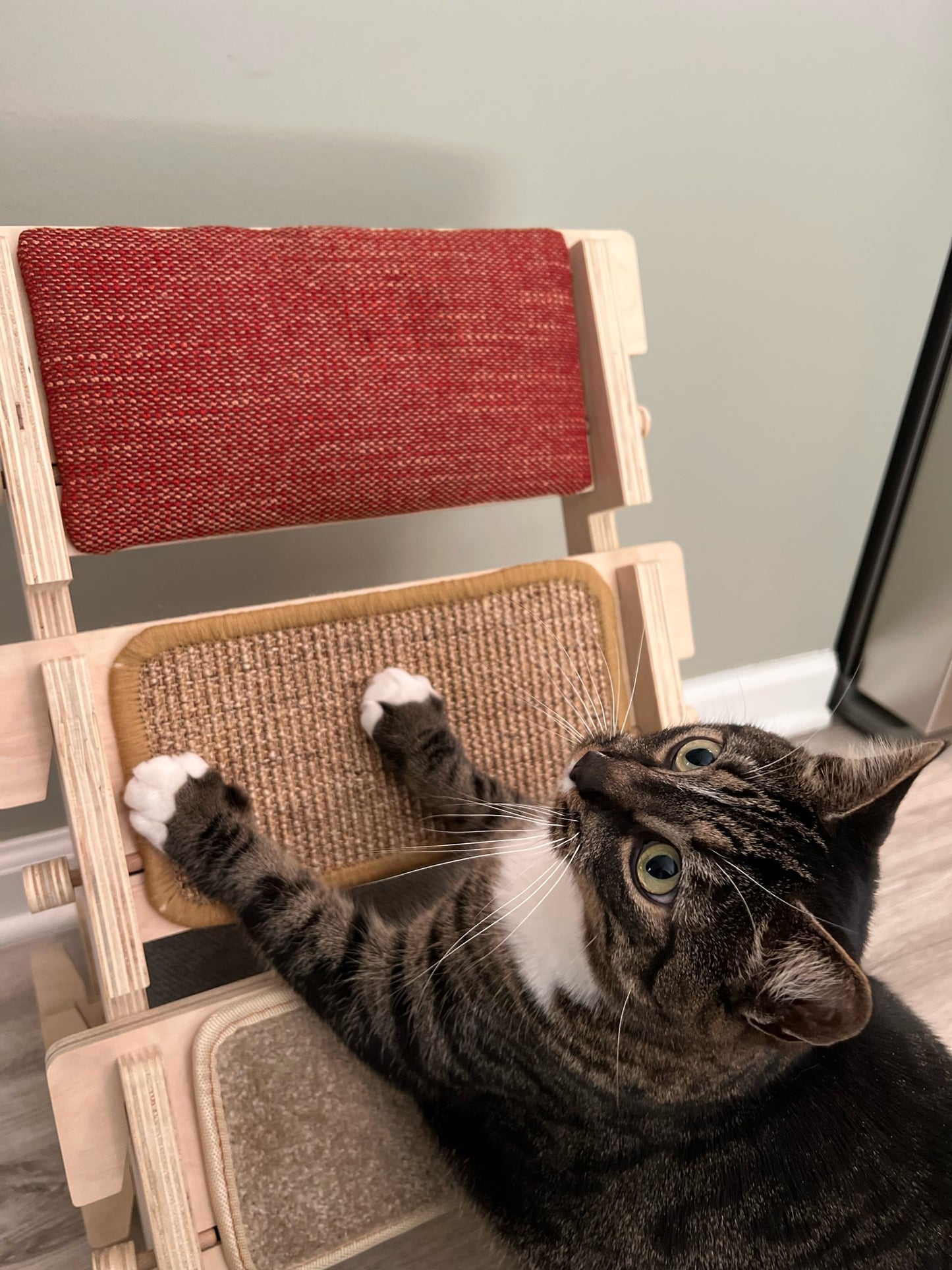 ScratchLadder: Red Velvet Catnip Cushion, Beige Carpet, Sisal Carpet