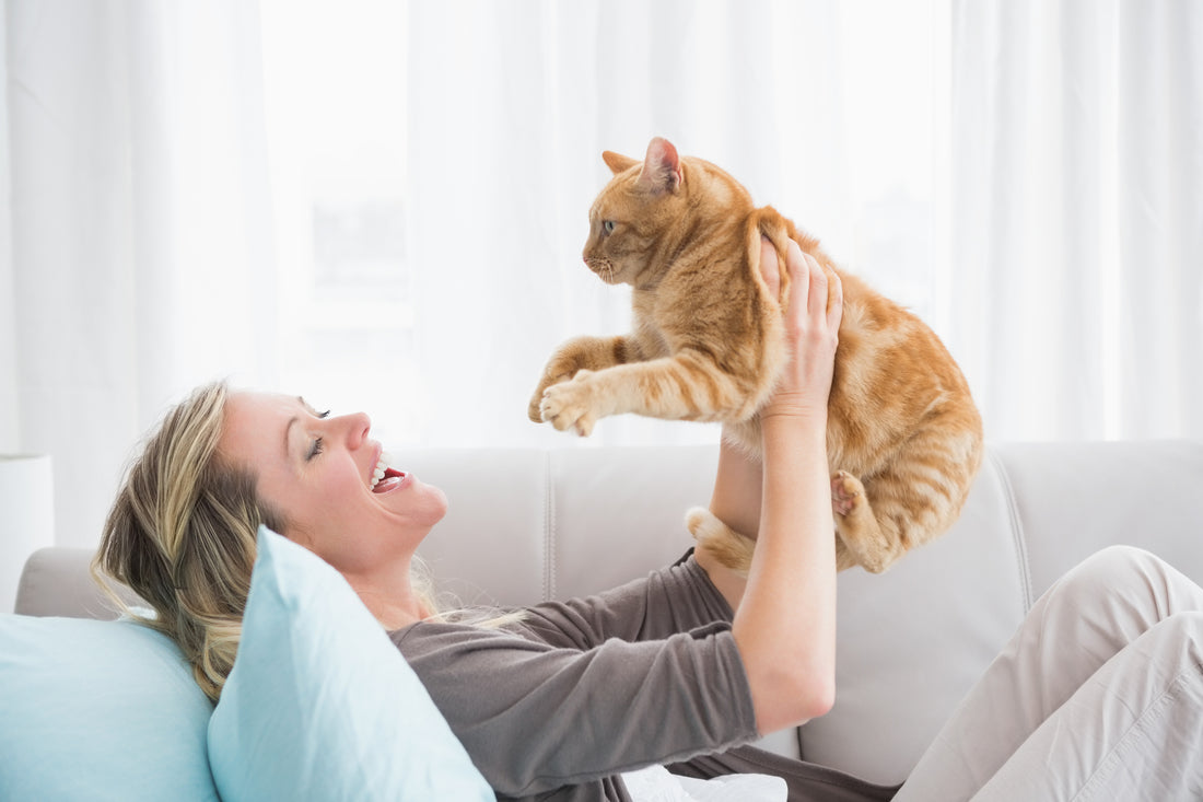 10 Essential Pro Tips for the First-Time Cat Owner