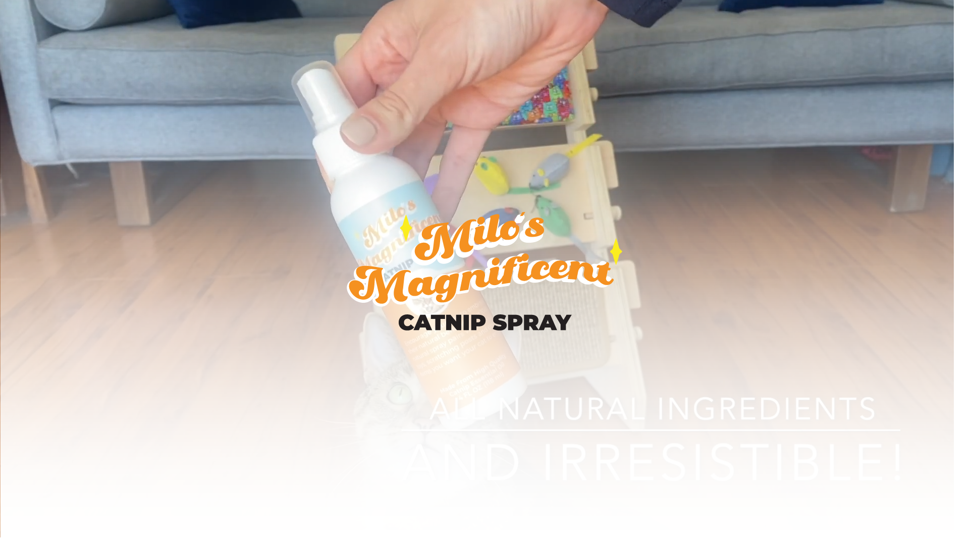 Load video: Scratchladder | Scratch Play Meow | Milo&#39;s Magnificent Catnip Spray