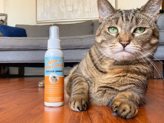 Milo's Magnificent Catnip Spray (4 oz.)