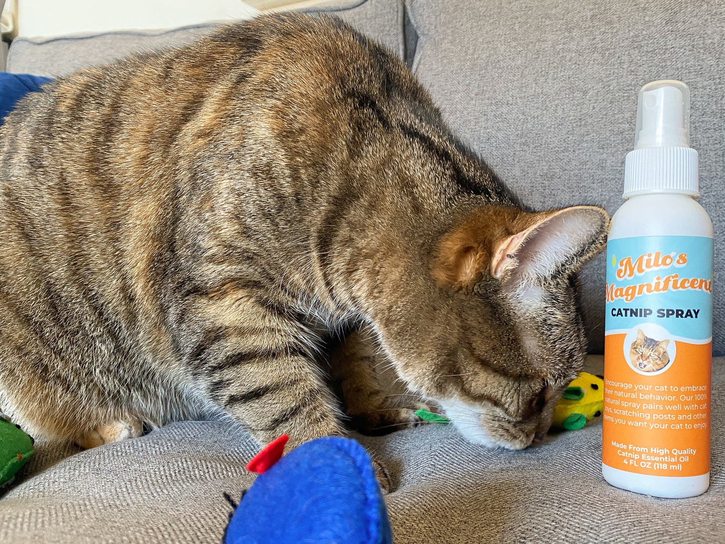 Milo's Magnificent Catnip Spray (4 oz.)