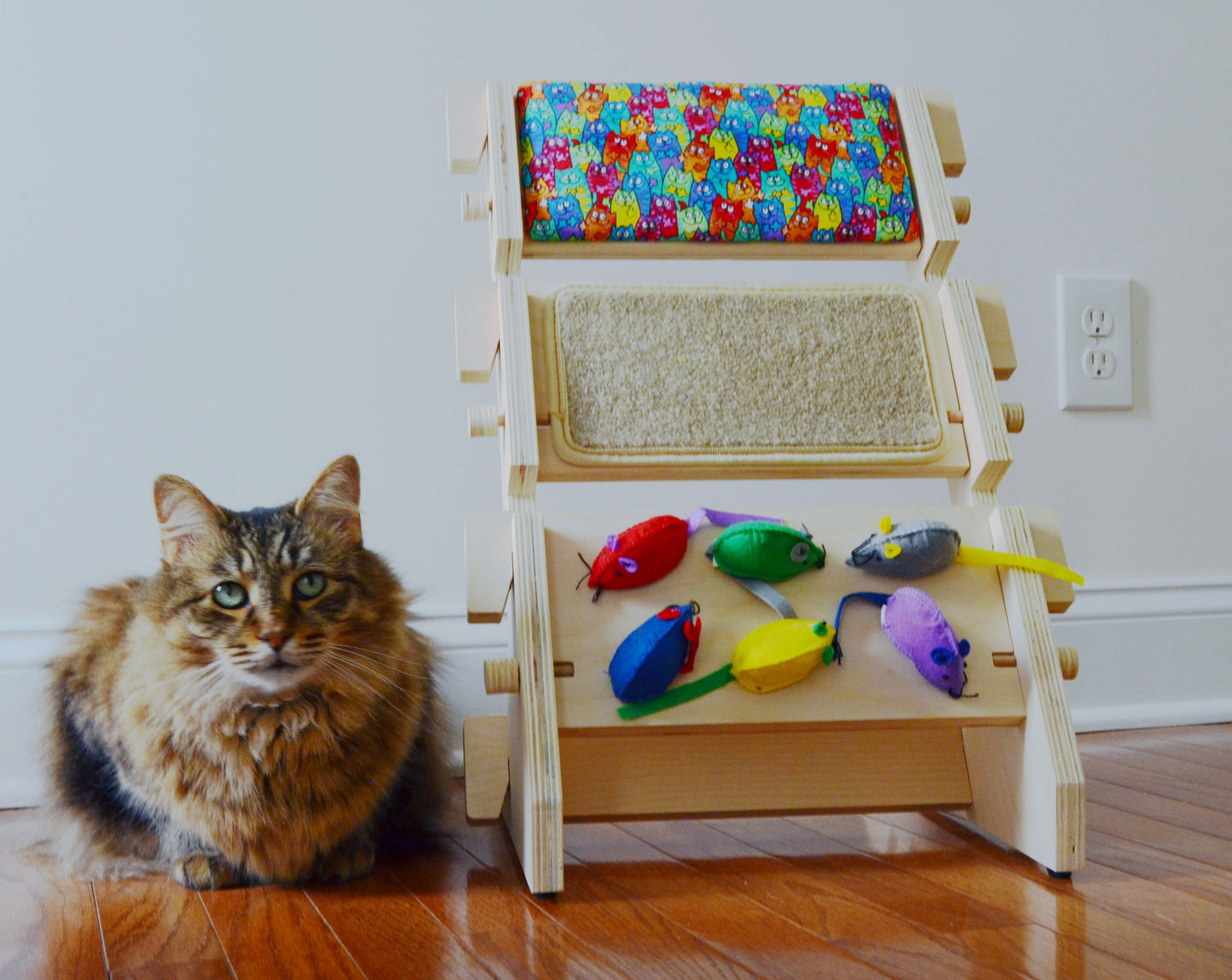 ScratchLadder: Colorful Cats Catnip Cushion, Beige Carpet, Felt Mice