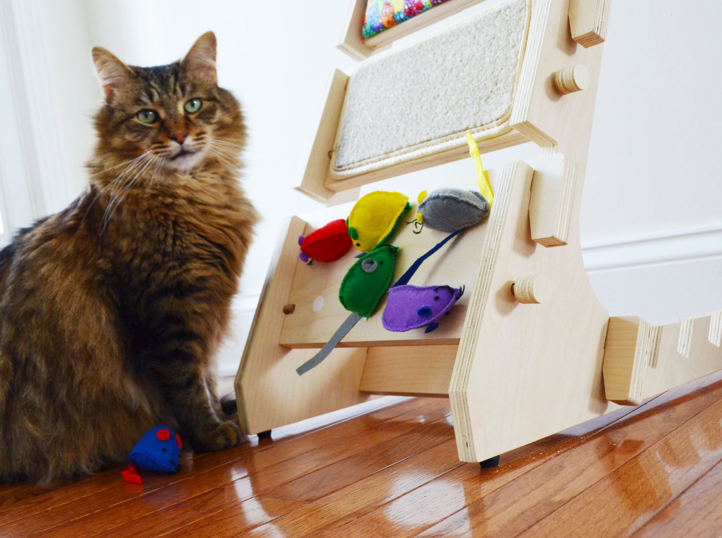 ScratchLadder: Colorful Cats Catnip Cushion, Beige Carpet, Felt Mice