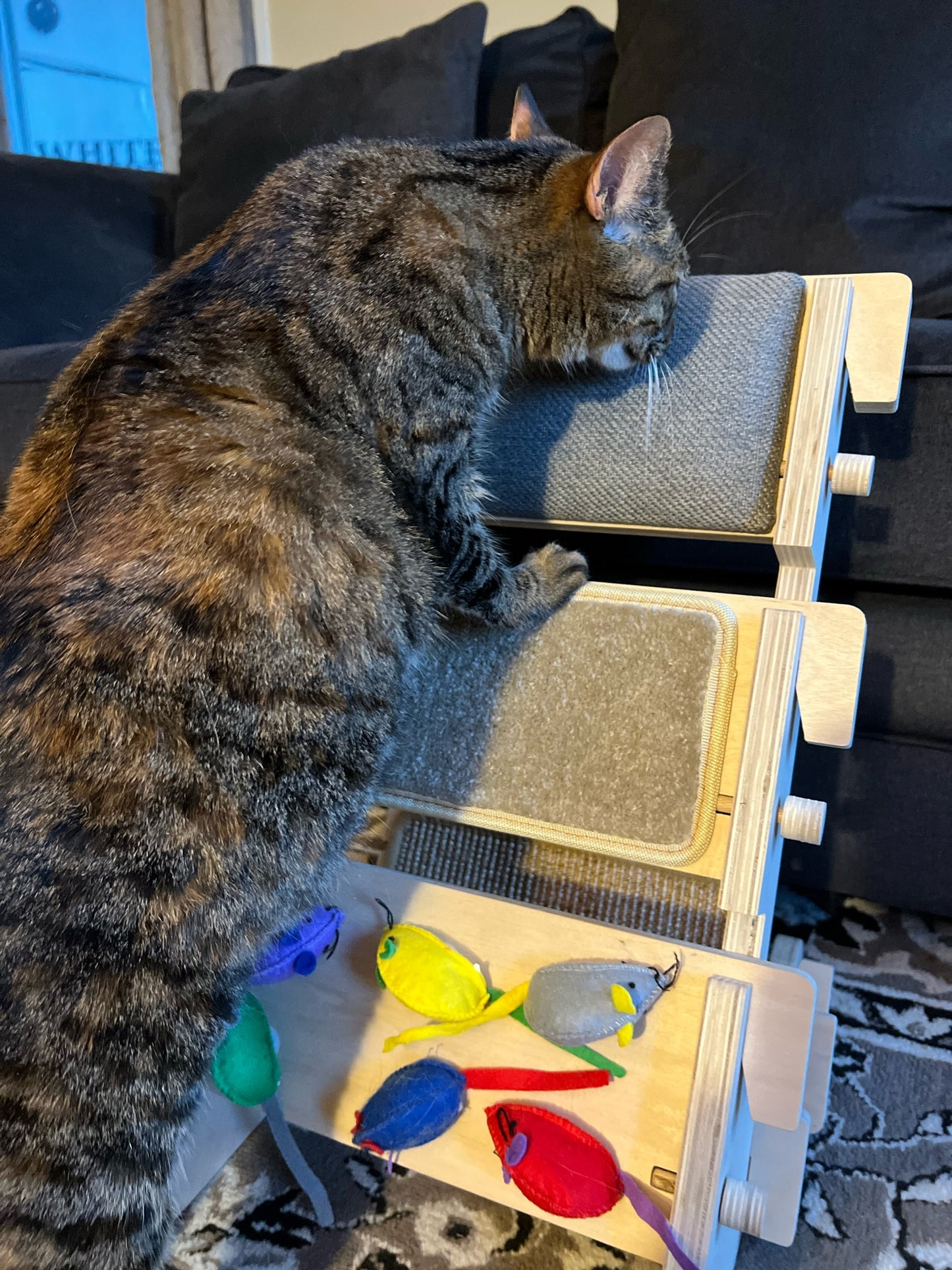 ScratchLadder: Seriously Grey Catnip Cushion, Beige Carpet, Felt Mice
