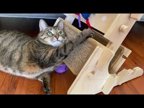 Colorful Cats Catnip Cushion ScratchLadder Panel