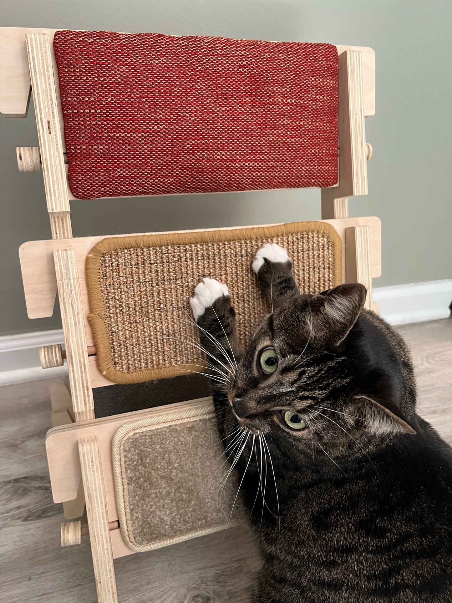 ScratchLadder: Red Velvet Catnip Cushion, Beige Carpet, Sisal Carpet